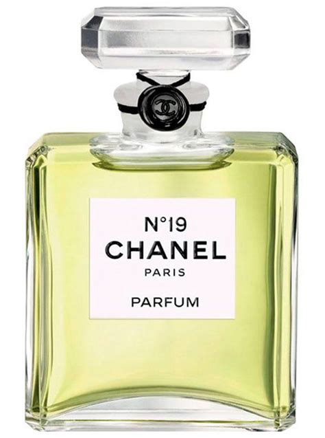 chanel 19 shw|where to buy chanel 19.